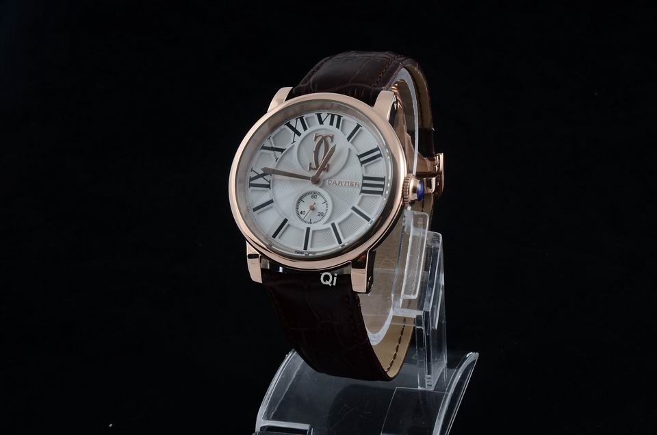 Cartier Watch 313